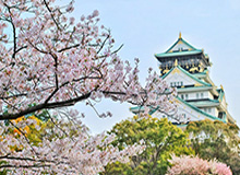 MK体育登录入口-齐达内：满意罗德里戈 本泽马要以赶超劳尔为目标